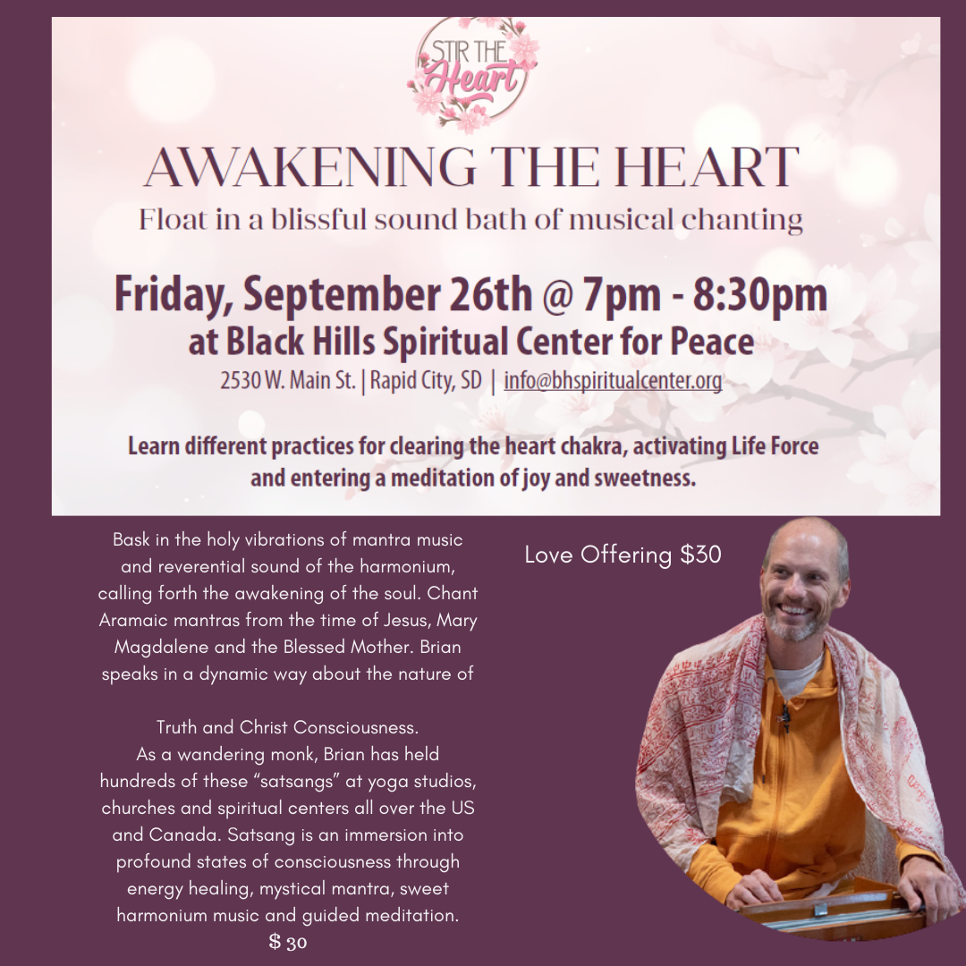 Stir the Heart - Brian Lottman